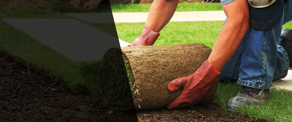 Cheyenne Landscapers